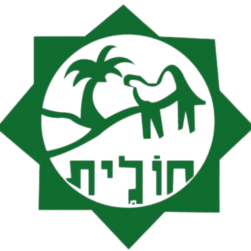 חולית